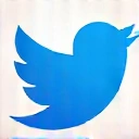 Twitter icon